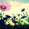 ~Spring~
