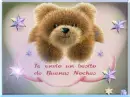 bear