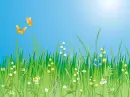 grass & sky