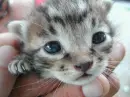 AWW soo cutie :D