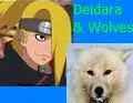Deidara and Wolves