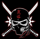 Ninjutsu Warrior
