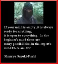 Ninja Wisdom