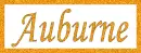 Auburne With Border