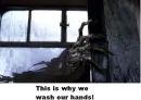 Eww dementors..lol