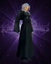 XEMNAS!!!!!!