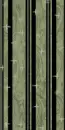 green and black animated,starry