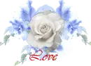 Love Rose