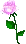 Pink Flower