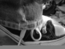 Converses