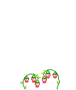 love flower