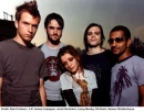 Flyleaf...