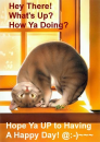 what's up