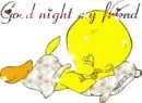 good night tweety