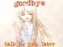 goodbye talk to you later