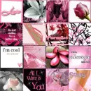 pink and black