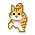 dancing kitten