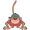 my Gym Partners A Monkey