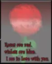 The glass rose