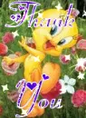thank you tweety