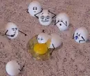 eggs
