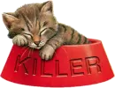 Killer the cat