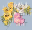 Bee Happy