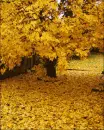 Seasons Change