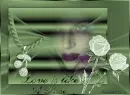 LOVE is like a rose