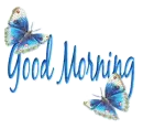 morning butterflys