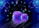Bubbles&Roses