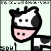 My cow