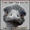 ebing watched?