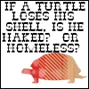 turtle