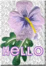 Hello