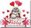 shirley