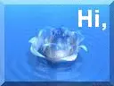 hi