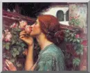 Stop & Smell The Roses