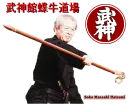 Grand Master Hatsumi