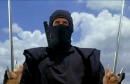 Ninja