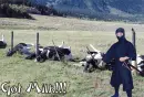 Funny Ninja