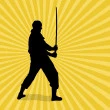 Funny Ninja