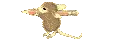 MOUSE lisa