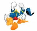 mad duck