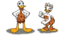 donald and daisy