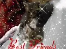 Best friends