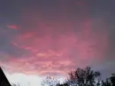 Pink Sunset