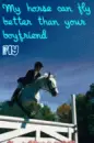 My Horse can fly better than your boyfriend!