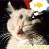 sweet dreams