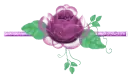 Purple flower